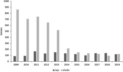 Portuguese Artisanal Fishers’ Knowledge About Elasmobranchs—A Case Study